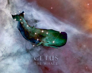 Artwork of Cetus - The Whale constellation set against a backdrop of outer space